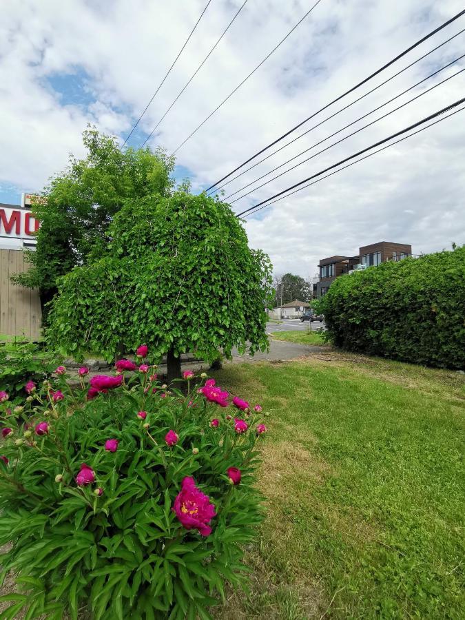 Motel Sainte-Catherine Esterno foto